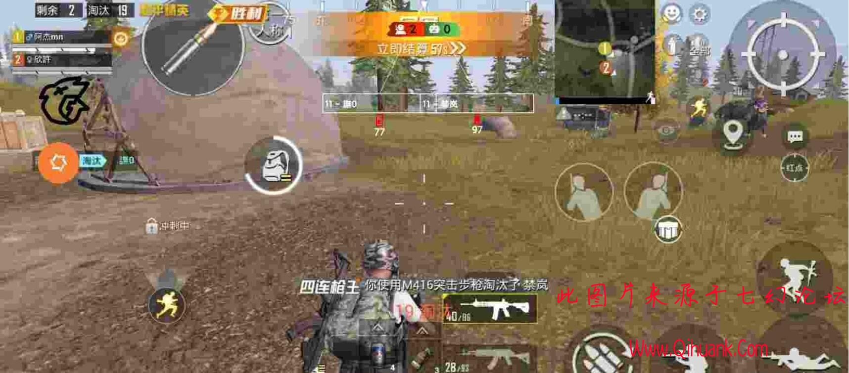 2312312.jpg